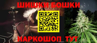 индика Кулебаки